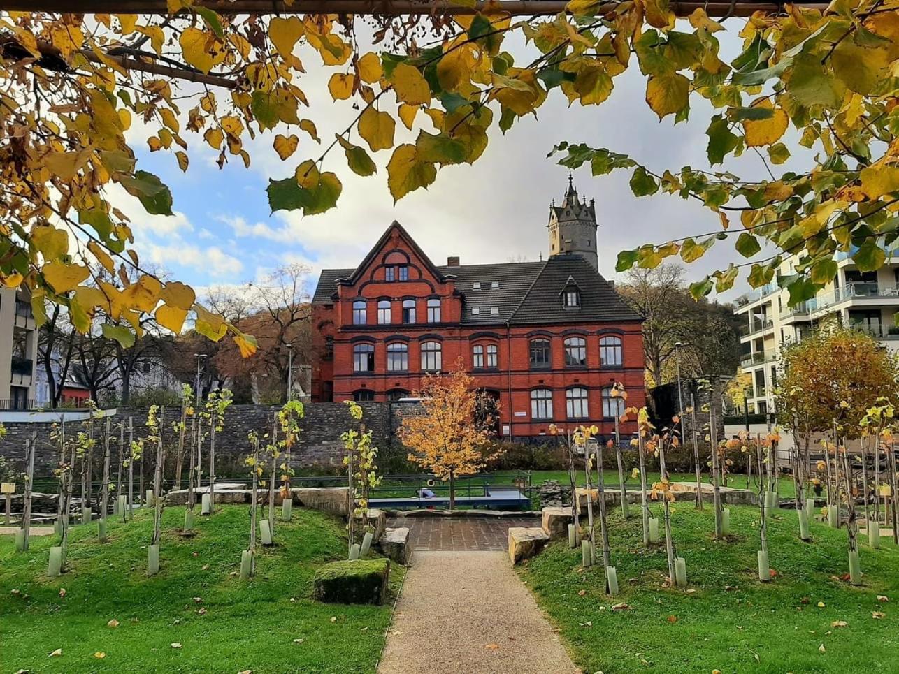 Back To School Apartment Andernach Exterior photo