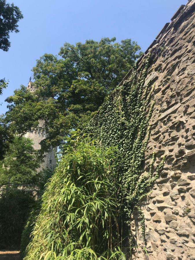 Back To School Apartment Andernach Exterior photo